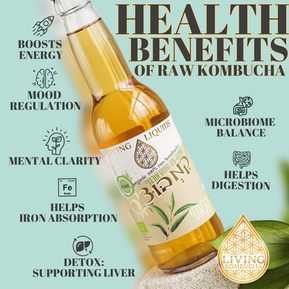 The Health Benefits of Kombucha: How Kombucha Affects Your Body