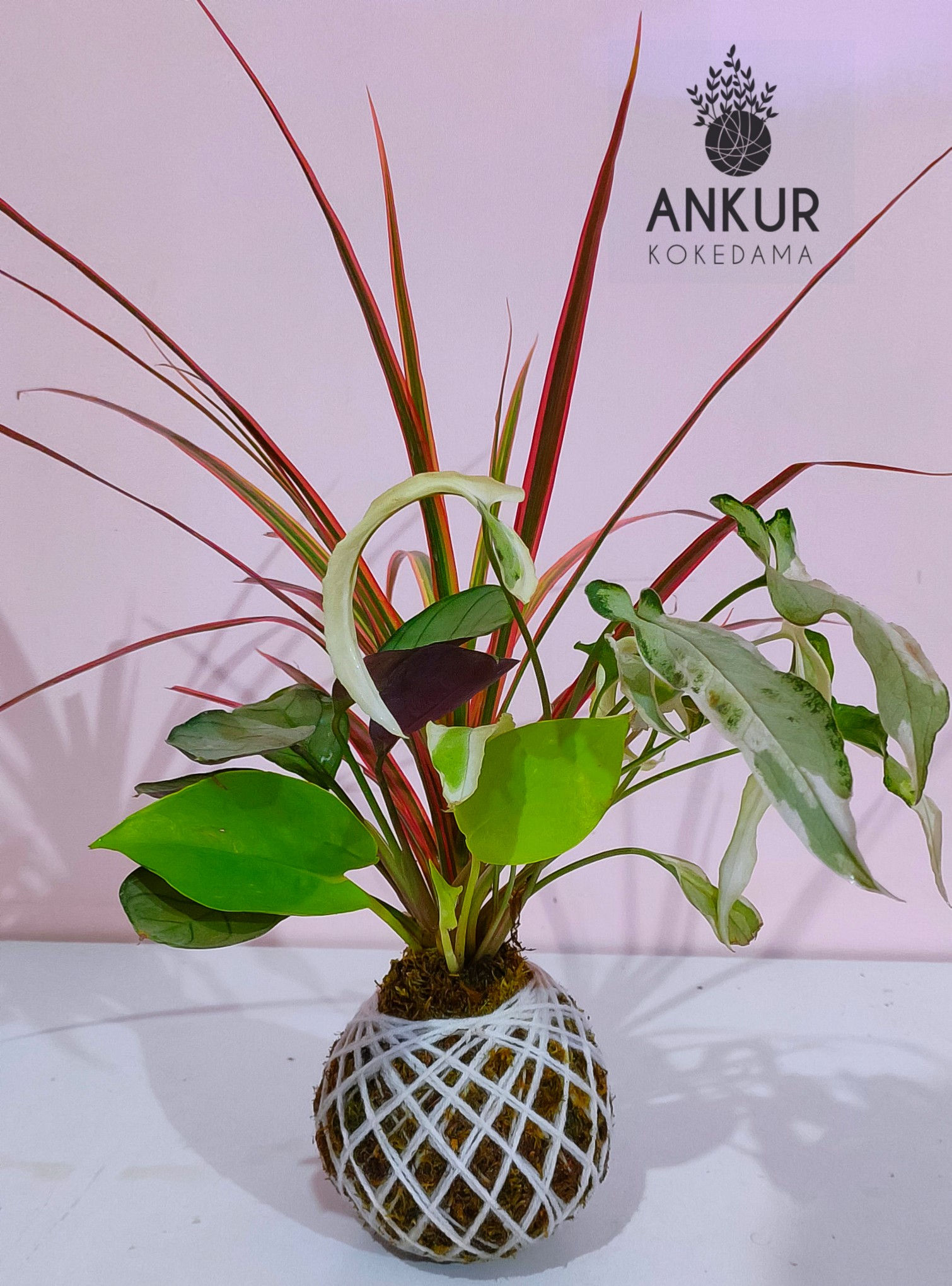 Combi Plants