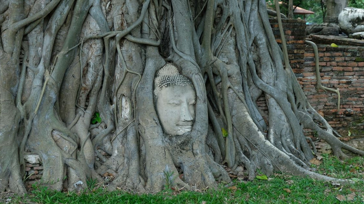 Wat Mahathat (cabeça de Buda Nas Raízes) — Ayutthaya, Tailândia