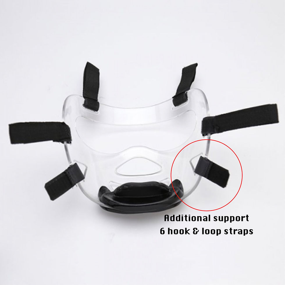 Face Shield 6 Straps