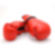 Boxing Leather Red