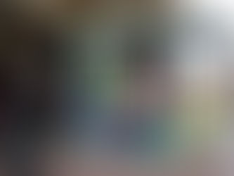 Repercusión en los medios de la presentación del parque infantil