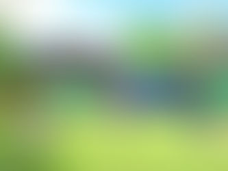 El ayuntamiento de Borja construira un centro joven realizado con contenedores maritimos cuyo presupuesto ascendera a 250.000 euros.￼