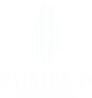 zz copy (1).png
