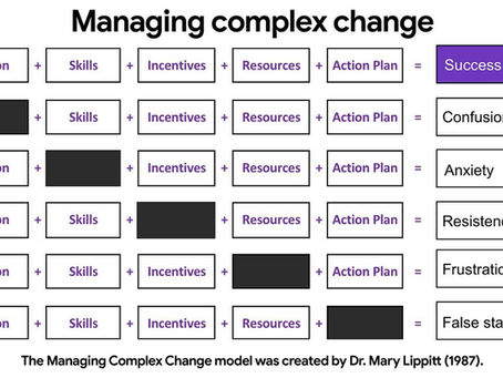 Managing Complex Change: Why Vision Alone Isn’t Enough