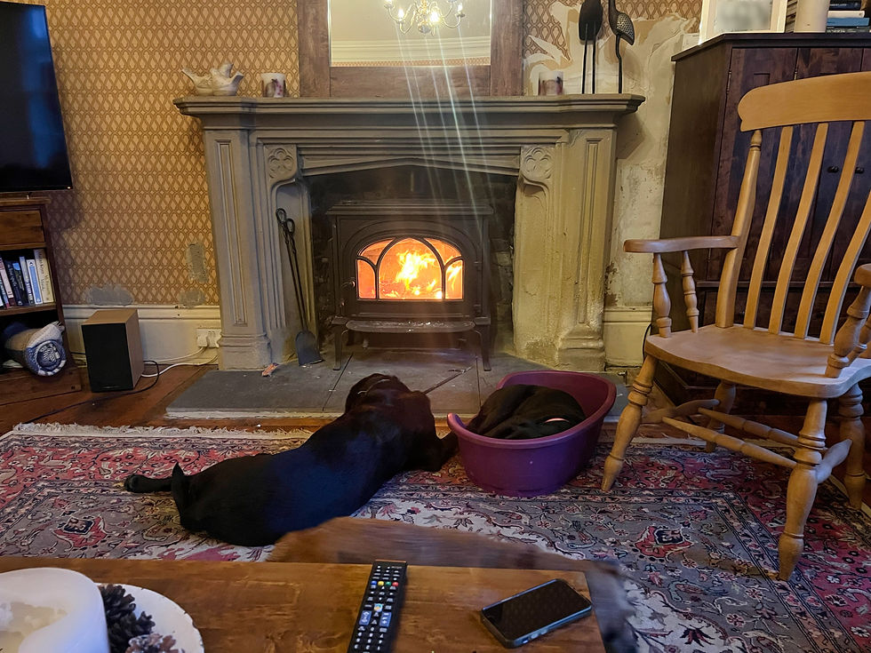 After another busy day, Ted and Esme taking advantage of the real fire :-)