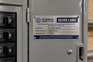 Silver Label TSBC New Era Electric.png