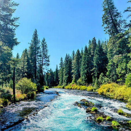 Your guide to hiking