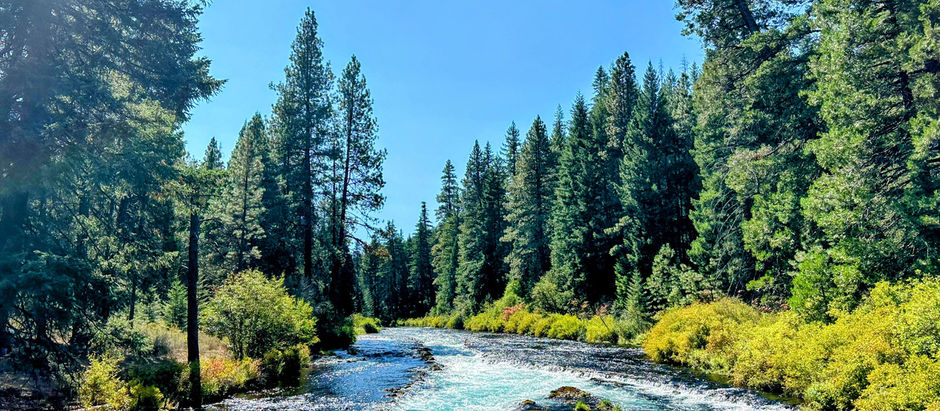 Your guide to hiking