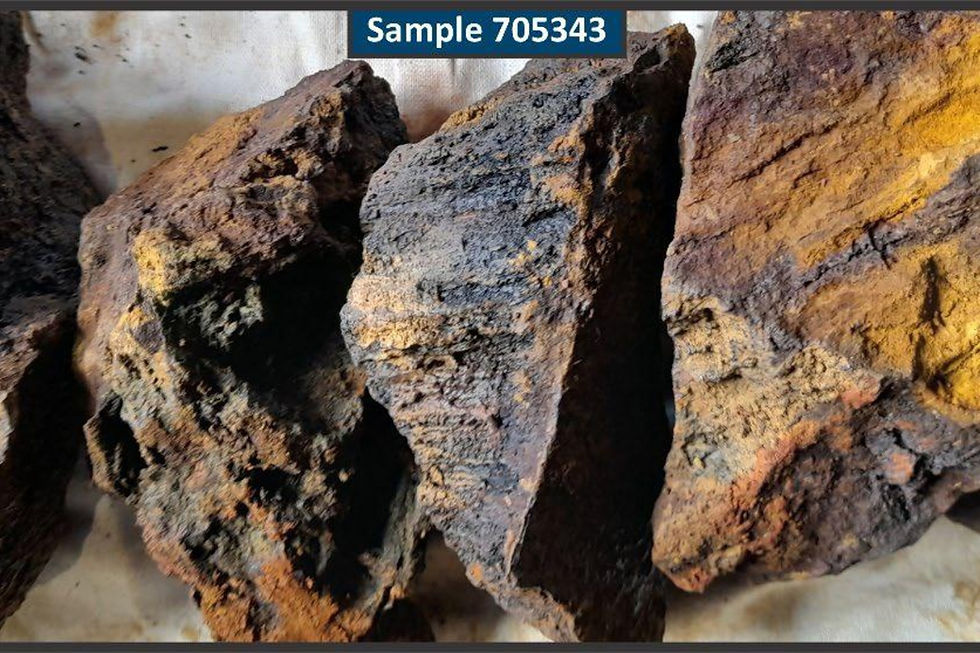 A gossan rock-chip sample assaying 12.4g/t gold from Taruga Minerals’ Gwamogwamo prospect on East Normanby Island in PNG. Credit: File