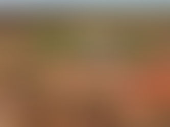 Geochem clues steer Red Metal along WA Hemi gold corridor