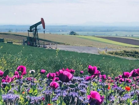 ADX Energy bags $2.6M in quarterly sales as Austrian oil-gas output lifts 23%