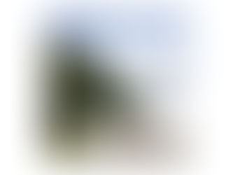 THE EVERYDAY CITY: H/W Ward Reimagined