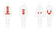 Back.png
