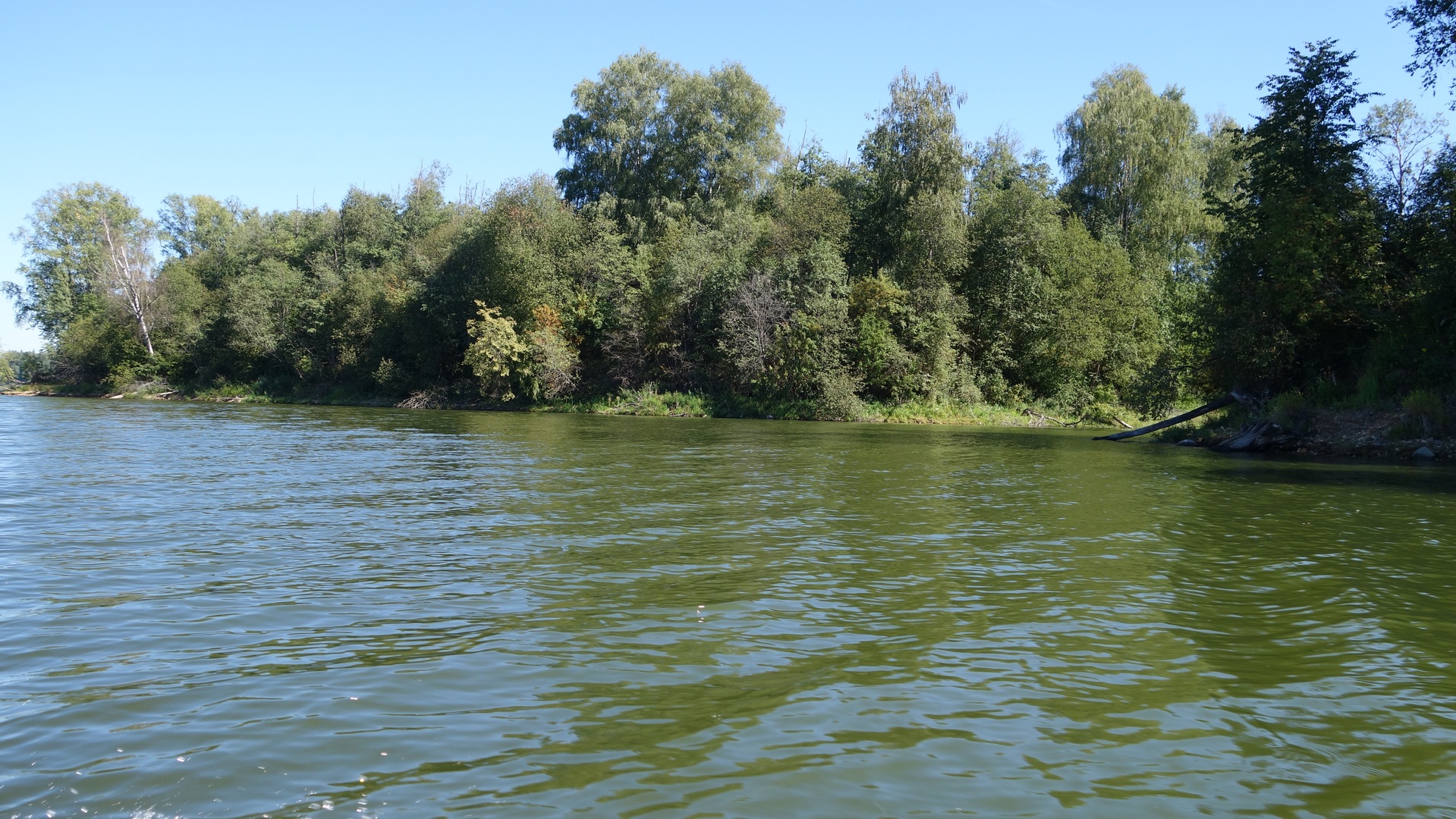 Рузское водохранилище путевка на рыбалку Рузское водохранилище путевка на рыбалку