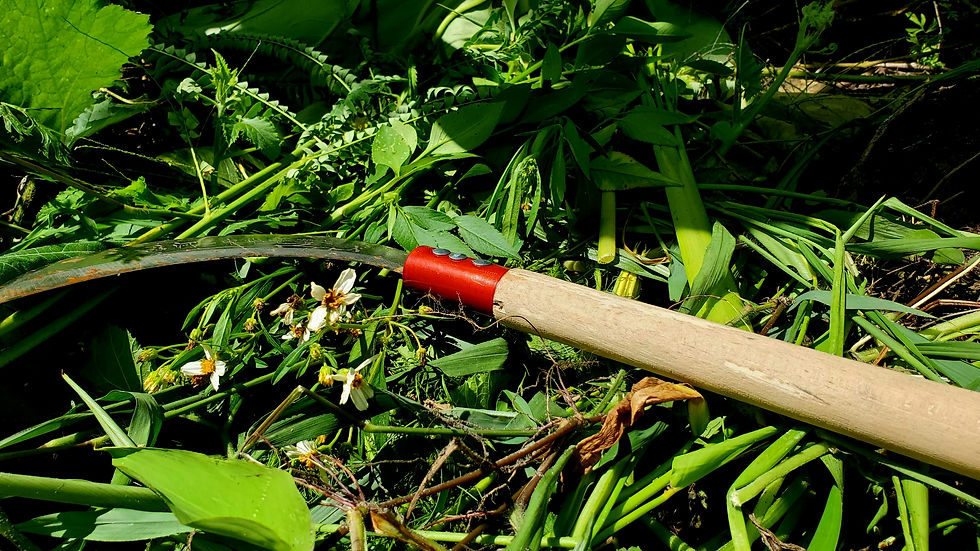 20230719_110703_edited.jpg
