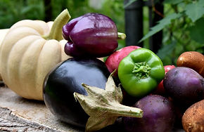 fresh harvest from the garden