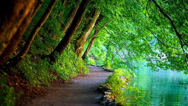 Free-Wallpaper-Nature-Scenes.jpeg