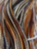 close up of cree feathers