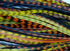 Thumbnail: Hair feather Extension  kit Kalahari