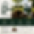 Perth Trees Direct Tree Planting Mix