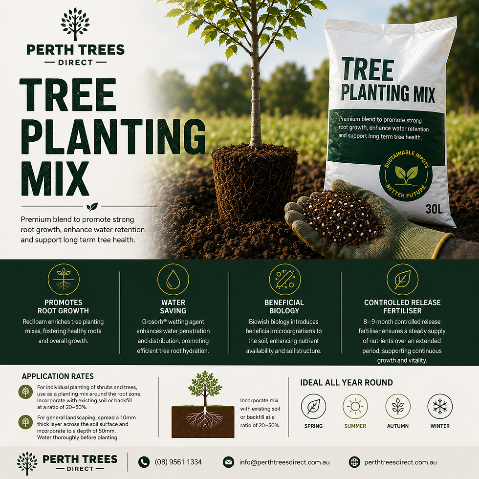 Perth Trees Direct Tree Planting Mix