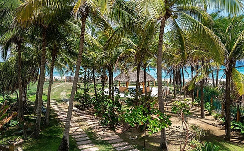 Screenshot 2025-08-18 105722.jpg