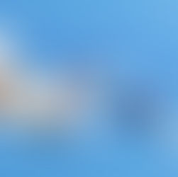 Contrasting Mechanisms between Paracetamol and Ibuprofen