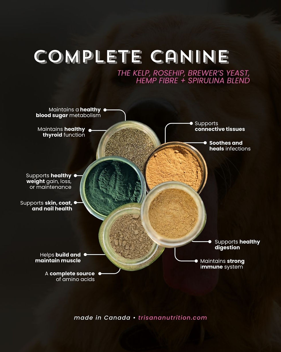 Thumbnail: Complete Canine Blend