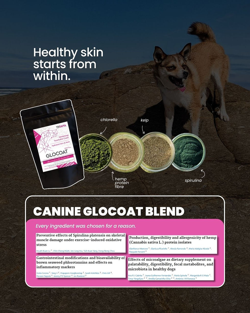 Thumbnail: Canine GloCoat Blend