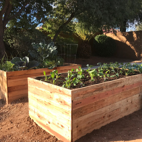 (2) 2-Foot Garden Boxes