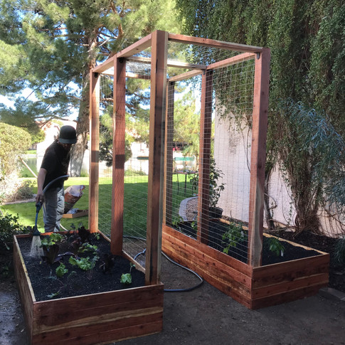 (2) standard raised beds with arbor