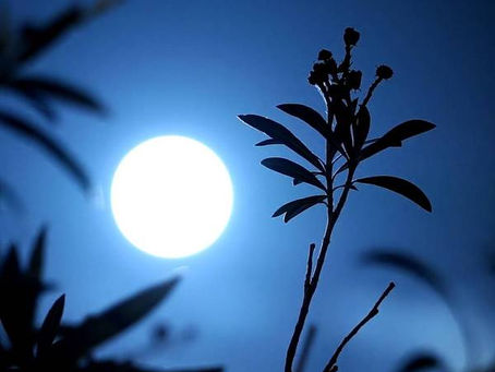 LA LUNE ET SES INFLUENCES /3