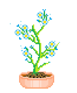 blue 1.gif