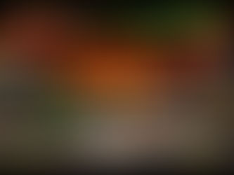  Ukrainian "Black Hawk" hit a Russian soldier in the Kostyantynivka- Toretsk direction. Voron 100 UAS Battalion, 100th Mechanized Brigade.