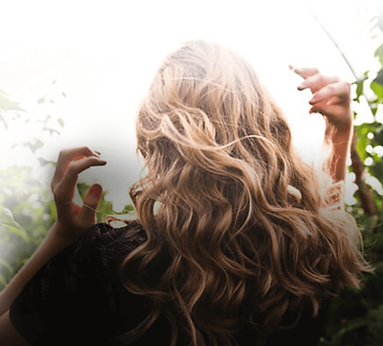 banner_bg.png