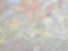 20241026_111914_edited.jpg