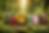 file_00000000d7d87243b4b9e48f07e3f0b9.png