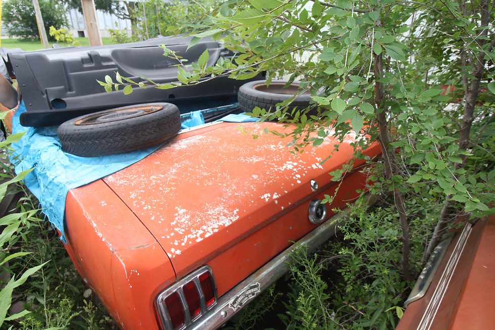Thumbnail: 1965 Ford Mustang Convertible 289 4 Speed - Clean Title PENDING SALE