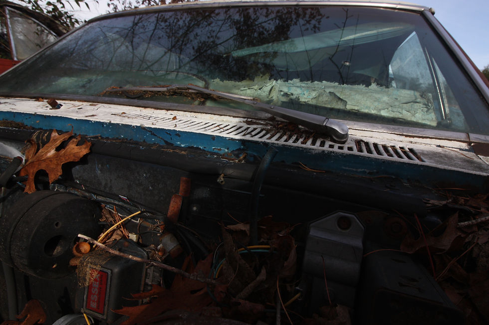 Thumbnail: 1967 Oldsmobile Cutlass parts car