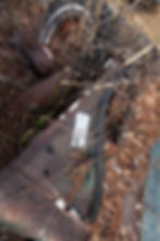 Thumbnail: 1970 Chevrolet Chevelle - Shell - Clean Title PENDING SALE