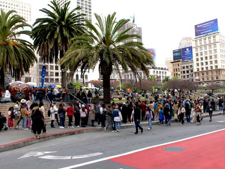 The Great San Francisco Tulip Festival Madness