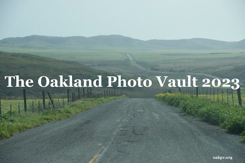 The Long Road Of Point Reyes