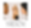 IMG_7131_edited_edited.png