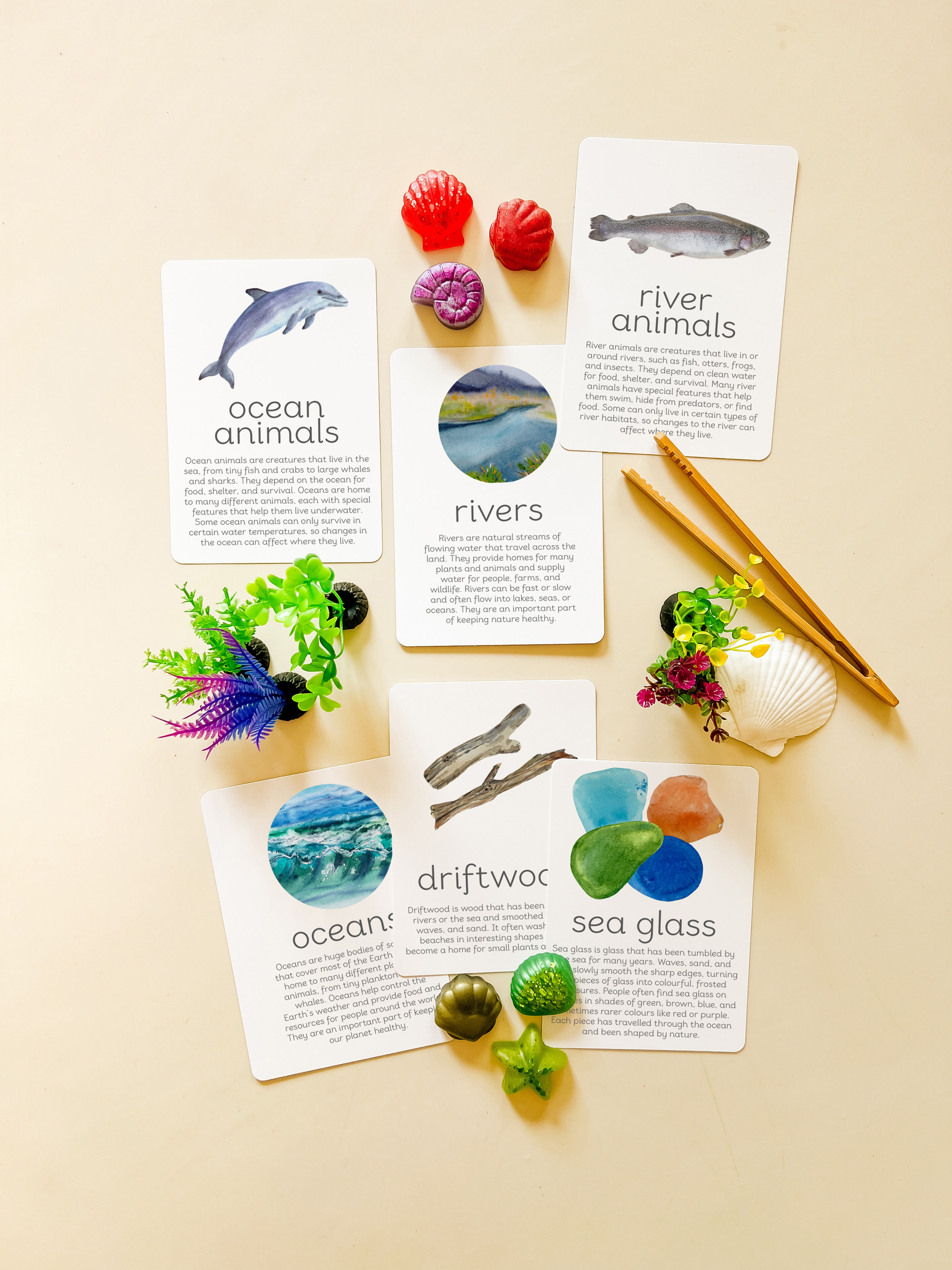 Oceans and Rivers KS2 Fact Flashcards