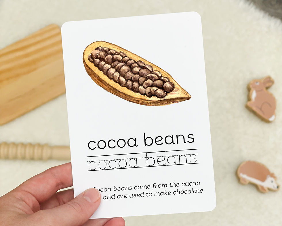 Thumbnail: Chocolate Flashcards