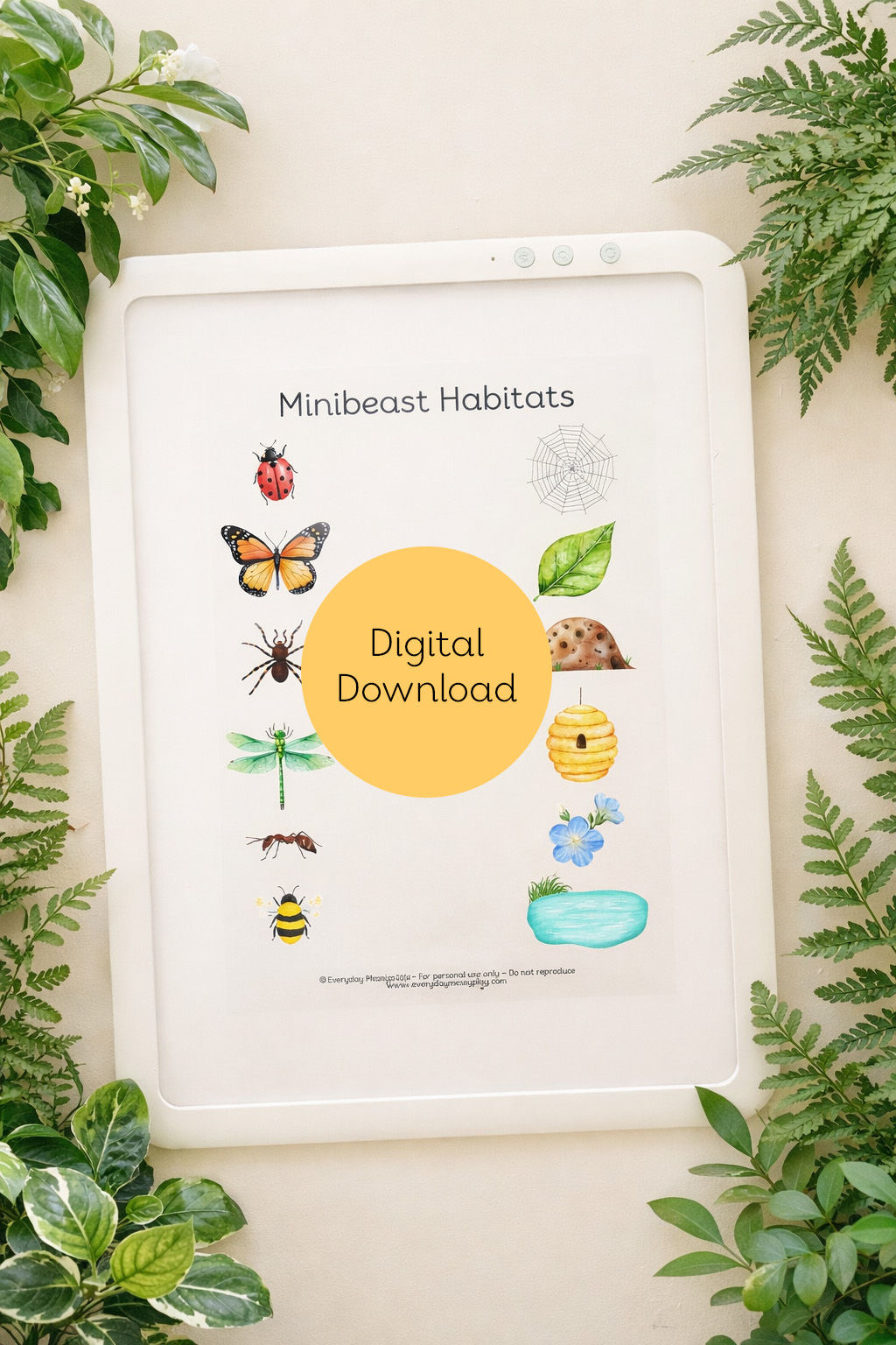 Minibeast Habitats - Digital Download