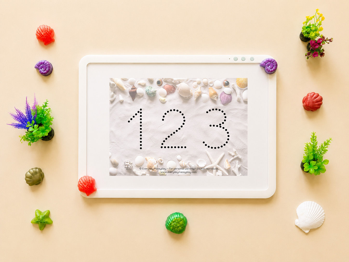 123 Shells Lightbox Sheet