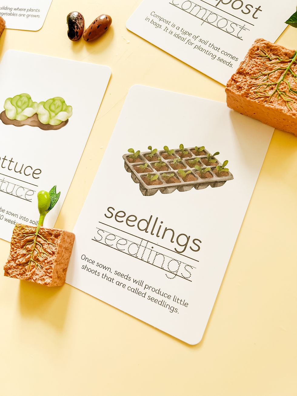 Thumbnail: Build A Greenhouse Learning Kit