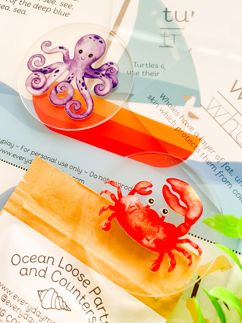 Thumbnail: Ocean Friends - Set of 6 Discs